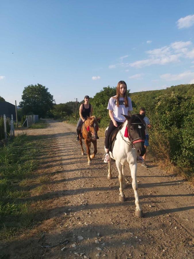 Harmonija Lux Daire Vrdnik Dış mekan fotoğraf